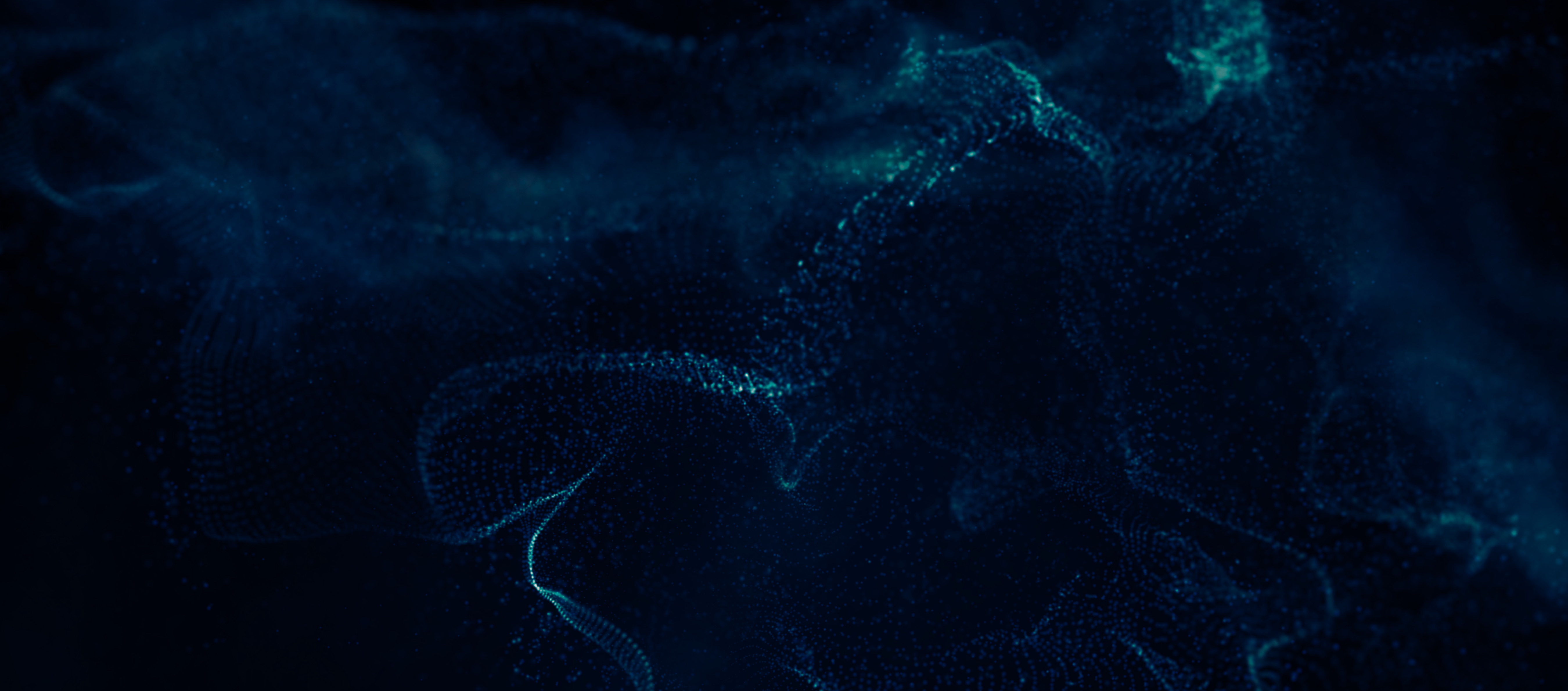 Banner 1